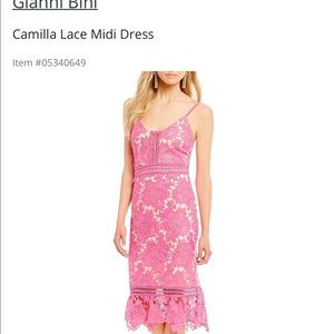 Gianni bini Camilla lace dress